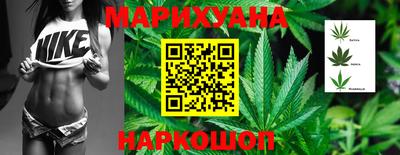 Альфа ПВП Малгобек