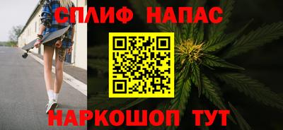 дживик Моздок